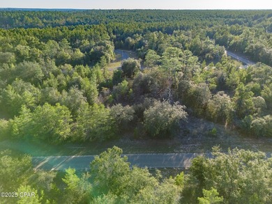 Build Your Dream Home in Beautiful Sunny Hills! Discover the on Sunny Hills Golf and Country Club in Florida - for sale on GolfHomes.com, golf home, golf lot