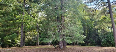 Exceptional .42-acre homesite at the end of a quiet cul-de-sac on Members Club At St. James Plantation in North Carolina - for sale on GolfHomes.com, golf home, golf lot
