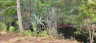 Exceptional .42-acre homesite at the end of a quiet cul-de-sac on Members Club At St. James Plantation in North Carolina - for sale on GolfHomes.com, golf home, golf lot