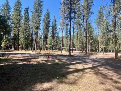 IN THE HEART OF IT ALL - IN PLUMAS PINES!!! This level building on Plumas Pines Golf Resort in California - for sale on GolfHomes.com, golf home, golf lot