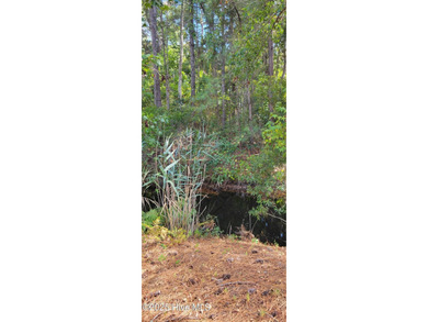 Exceptional .42-acre homesite at the end of a quiet cul-de-sac on Members Club At St. James Plantation in North Carolina - for sale on GolfHomes.com, golf home, golf lot