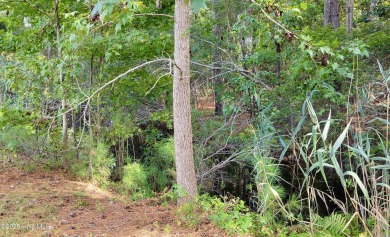 Exceptional .42-acre homesite at the end of a quiet cul-de-sac on Members Club At St. James Plantation in North Carolina - for sale on GolfHomes.com, golf home, golf lot