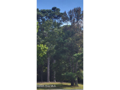 Exceptional .42-acre homesite at the end of a quiet cul-de-sac on Members Club At St. James Plantation in North Carolina - for sale on GolfHomes.com, golf home, golf lot
