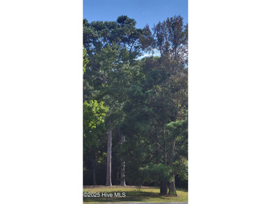 Exceptional .42-acre homesite at the end of a quiet cul-de-sac on Members Club At St. James Plantation in North Carolina - for sale on GolfHomes.com, golf home, golf lot