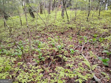 Very gentle sloping wooded building lot located in the city on Sky Valley Resort and Country Club in Georgia - for sale on GolfHomes.com, golf home, golf lot
