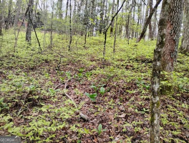 Very gentle sloping wooded building lot located in the city on Sky Valley Resort and Country Club in Georgia - for sale on GolfHomes.com, golf home, golf lot