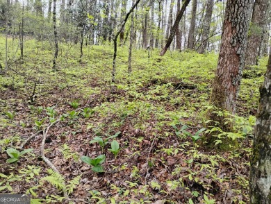 Very gentle sloping wooded building lot located in the city on Sky Valley Resort and Country Club in Georgia - for sale on GolfHomes.com, golf home, golf lot