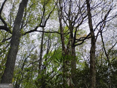 Very gentle sloping wooded building lot located in the city on Sky Valley Resort and Country Club in Georgia - for sale on GolfHomes.com, golf home, golf lot