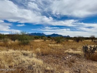 Discover an incredible opportunity to build your dream home on on Quail Creek Country Club  in Arizona - for sale on GolfHomes.com, golf home, golf lot