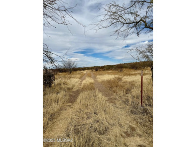 Discover an incredible opportunity to build your dream home on on Quail Creek Country Club  in Arizona - for sale on GolfHomes.com, golf home, golf lot
