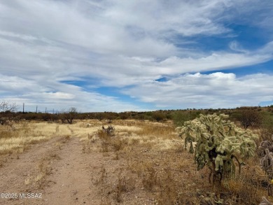 Discover an incredible opportunity to build your dream home on on Quail Creek Country Club  in Arizona - for sale on GolfHomes.com, golf home, golf lot