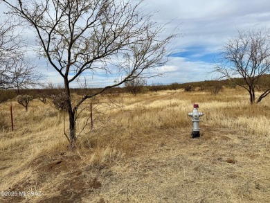 Discover an incredible opportunity to build your dream home on on Quail Creek Country Club  in Arizona - for sale on GolfHomes.com, golf home, golf lot