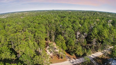 Embrace the Tranquility of Lake Sam Rayburn on this beautiful on Rayburn Country Club in Texas - for sale on GolfHomes.com, golf home, golf lot