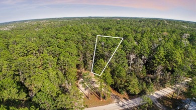 Embrace the Tranquility of Lake Sam Rayburn on this beautiful on Rayburn Country Club in Texas - for sale on GolfHomes.com, golf home, golf lot