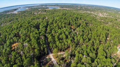 Embrace the Tranquility of Lake Sam Rayburn on this beautiful on Rayburn Country Club in Texas - for sale on GolfHomes.com, golf home, golf lot