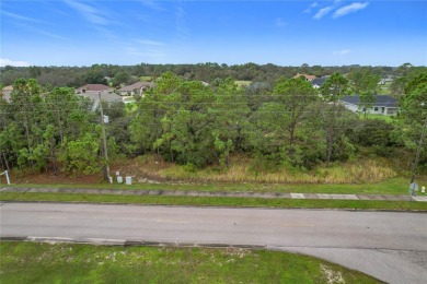 Build Your Dream Home in Beautiful Sebring, Florida! Are you on Sun n Lake Golf and Country Club in Florida - for sale on GolfHomes.com, golf home, golf lot