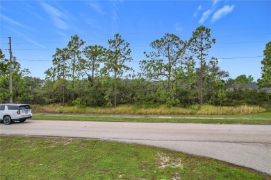 Build Your Dream Home in Beautiful Sebring, Florida! Are you on Sun n Lake Golf and Country Club in Florida - for sale on GolfHomes.com, golf home, golf lot