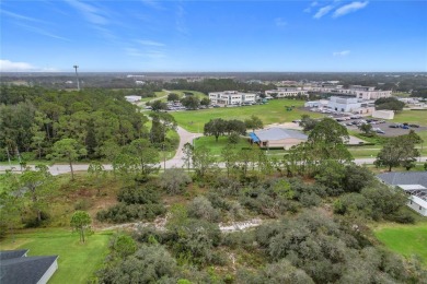 Build Your Dream Home in Beautiful Sebring, Florida! Are you on Sun n Lake Golf and Country Club in Florida - for sale on GolfHomes.com, golf home, golf lot