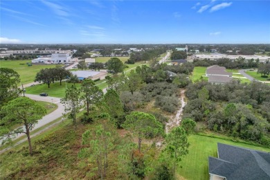 Build Your Dream Home in Beautiful Sebring, Florida! Are you on Sun n Lake Golf and Country Club in Florida - for sale on GolfHomes.com, golf home, golf lot