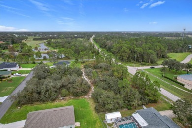 Build Your Dream Home in Beautiful Sebring, Florida! Are you on Sun n Lake Golf and Country Club in Florida - for sale on GolfHomes.com, golf home, golf lot