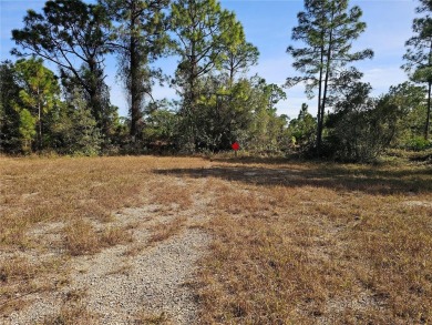 Nestled at the end of a peaceful cul-de-sac, this unique and on Mirror Lakes Golf Club in Florida - for sale on GolfHomes.com, golf home, golf lot