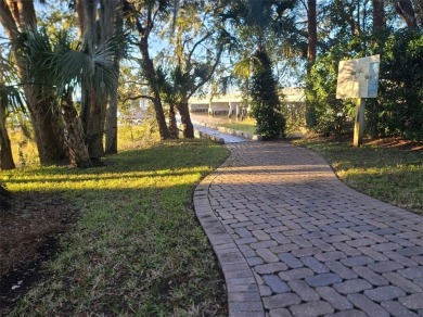 Boating, fishing, kayaking, or golfing... you can pick! Location on Sea Island Golf Club in Georgia - for sale on GolfHomes.com, golf home, golf lot