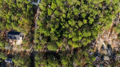 Discover this .25-acre, flat, wooded lot in Rayburn Country on Rayburn Country Club in Texas - for sale on GolfHomes.com, golf home, golf lot