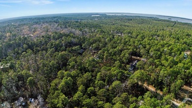 Discover this .25-acre, flat, wooded lot in Rayburn Country on Rayburn Country Club in Texas - for sale on GolfHomes.com, golf home, golf lot