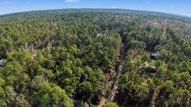 Discover this .25-acre, flat, wooded lot in Rayburn Country on Rayburn Country Club in Texas - for sale on GolfHomes.com, golf home, golf lot