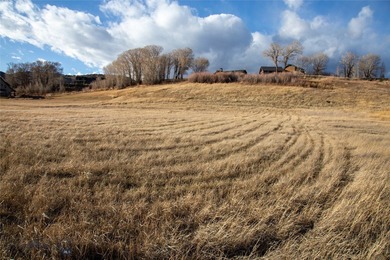 This 1.44-acre lot is ready for your new build in the desirable on Madison Meadows Golf Course in Montana - for sale on GolfHomes.com, golf home, golf lot