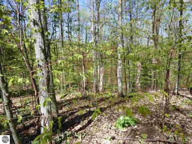 Beautiful elevated wooded lot near the Chief Golf Course and on Hawks Eye Golf Course in Michigan - for sale on GolfHomes.com, golf home, golf lot