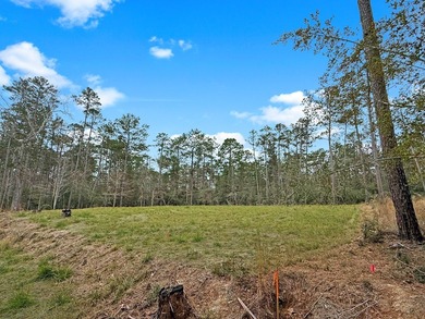 Discover the perfect place to build your dream home on 2 lots on Rayburn Country Club in Texas - for sale on GolfHomes.com, golf home, golf lot