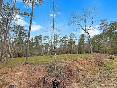 Discover the perfect place to build your dream home on 2 lots on Rayburn Country Club in Texas - for sale on GolfHomes.com, golf home, golf lot