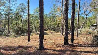 This nearly half-acre corner lot in Rayburn Country is truly on Rayburn Country Club in Texas - for sale on GolfHomes.com, golf home, golf lot