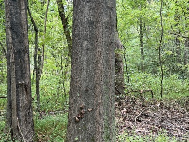  Rare Shelby County Find: Prime Land with Unique History on Mirimichi Golf Course in Tennessee - for sale on GolfHomes.com, golf home, golf lot