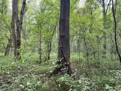  Rare Shelby County Find: Prime Land with Unique History on Mirimichi Golf Course in Tennessee - for sale on GolfHomes.com, golf home, golf lot