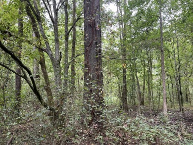  Rare Shelby County Find: Prime Land with Unique History on Mirimichi Golf Course in Tennessee - for sale on GolfHomes.com, golf home, golf lot