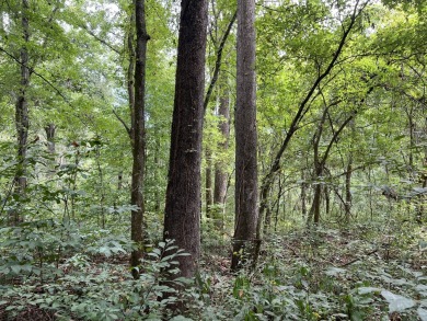  Rare Shelby County Find: Prime Land with Unique History on Mirimichi Golf Course in Tennessee - for sale on GolfHomes.com, golf home, golf lot