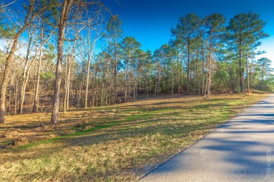 Looking for a luxury location to build? These premier lots are on Rayburn Country Club in Texas - for sale on GolfHomes.com, golf home, golf lot