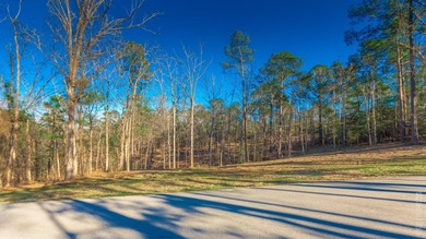 Looking for a luxury location to build? These premier lots are on Rayburn Country Club in Texas - for sale on GolfHomes.com, golf home, golf lot