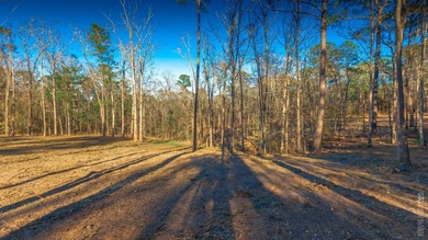 Looking for a luxury location to build? These premier lots are on Rayburn Country Club in Texas - for sale on GolfHomes.com, golf home, golf lot