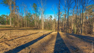 Looking for a luxury location to build? These premier lots are on Rayburn Country Club in Texas - for sale on GolfHomes.com, golf home, golf lot