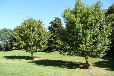 Desirable Aston Woods Condo! Spacious open floor plan, 2 on Aston Oaks Golf Club in Ohio - for sale on GolfHomes.com, golf home, golf lot