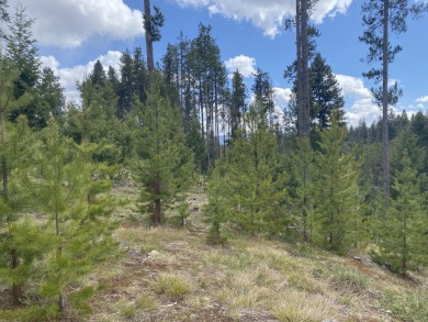 Enjoy this peaceful, nicely-treed lot just  minutes from the on Double Arrow Lodge in Montana - for sale on GolfHomes.com, golf home, golf lot