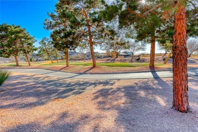 GOLF FRONTAGE AND GREAT BONES. WARM AND WELL CARED FOR POOL HOME on Desert Willow Golf Course in Nevada - for sale on GolfHomes.com, golf home, golf lot