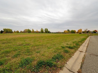 Development land with potential for up to 25 city lots. Some on The Greens At Howard Lake in Minnesota - for sale on GolfHomes.com, golf home, golf lot