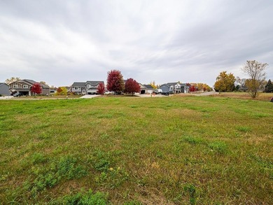 Development land with potential for up to 25 city lots. Some on The Greens At Howard Lake in Minnesota - for sale on GolfHomes.com, golf home, golf lot