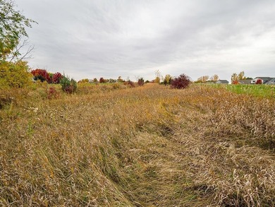 Development land with potential for up to 25 city lots. Some on The Greens At Howard Lake in Minnesota - for sale on GolfHomes.com, golf home, golf lot