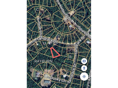 Beautiful 1/4 acre lot in Rayburn Country! Perfect location and on Rayburn Country Club in Texas - for sale on GolfHomes.com, golf home, golf lot