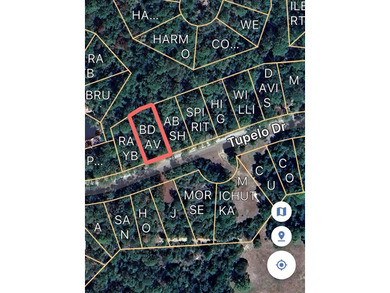 Beautiful lot in Rayburn Country! Perfect location and just a on Rayburn Country Club in Texas - for sale on GolfHomes.com, golf home, golf lot